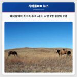 페더럴웨이 초고속 추격 사고 사망 2명 중상자 2명