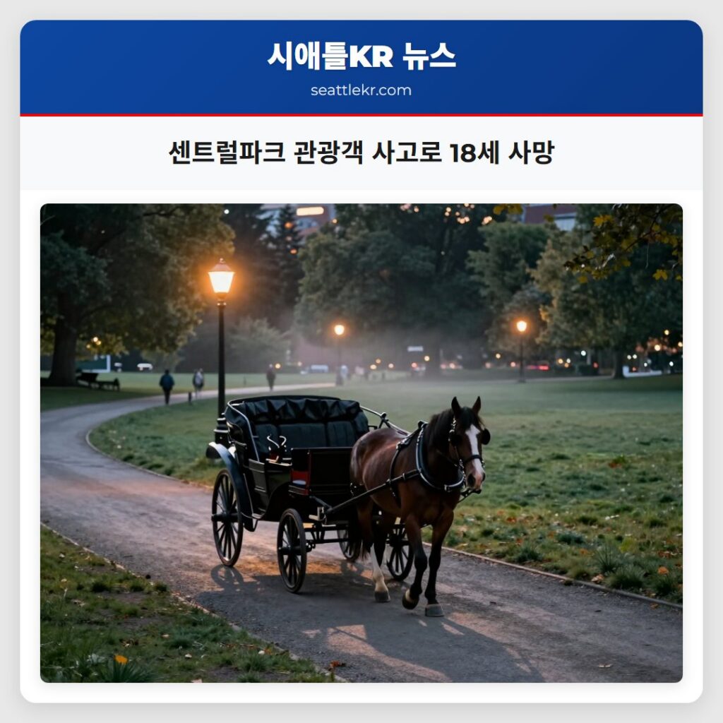 센트럴파크 관광객 사고로 18세 사망