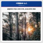 올림피아 주청사 바위 투척 21세 용의자 체포