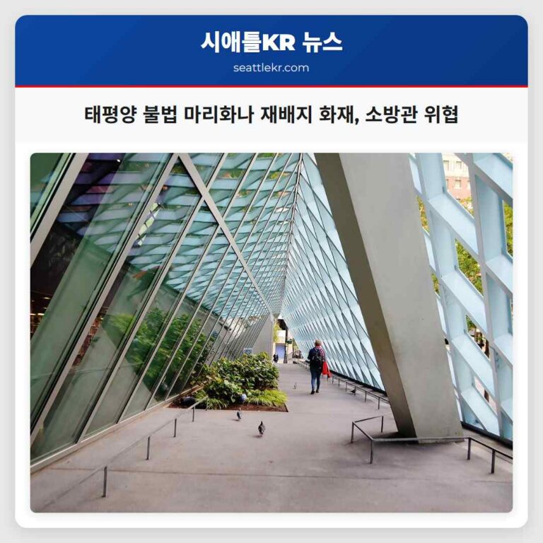 태평양 불법 마리화나 재배지 화재 소방관 위협