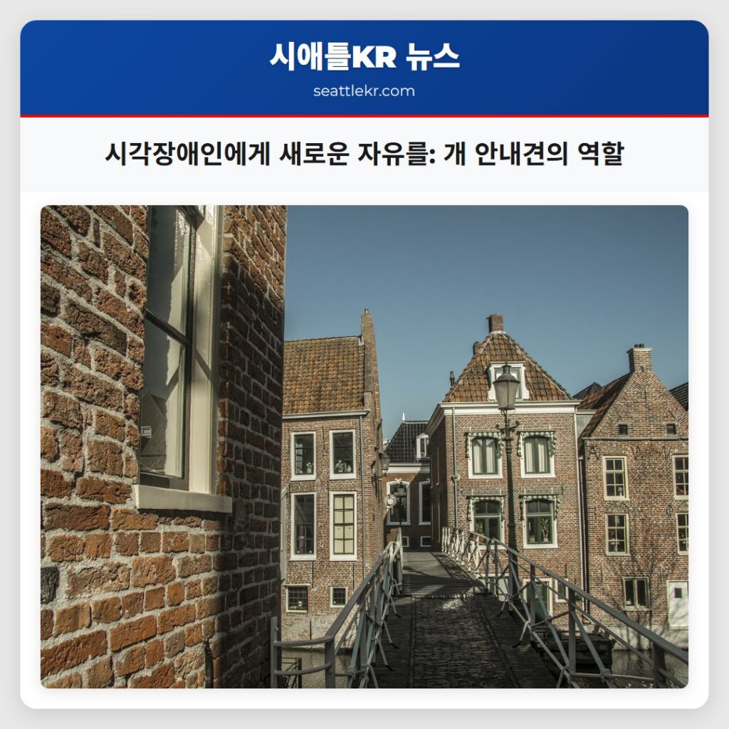 시각장애인에게 새로운 자유를: 개 안내견의 역할