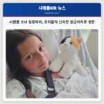 시퀀름 소녀 심장마비 코치들의 신속한 응급처치로 생존