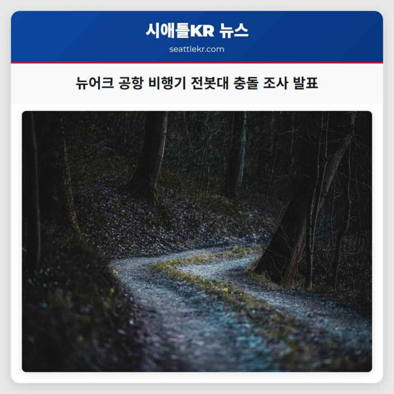 뉴어크 공항 비행기 전봇대 충돌 조사 발표