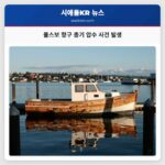 폴스보 항구 총기 압수 사건 발생