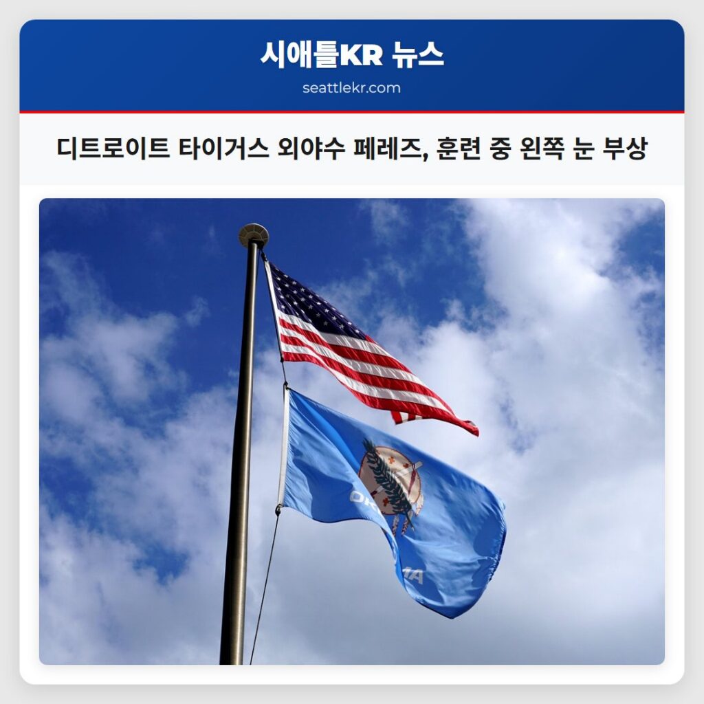 디트로이트 타이거스 외야수 페레즈, 훈련 중 왼쪽 눈 부상