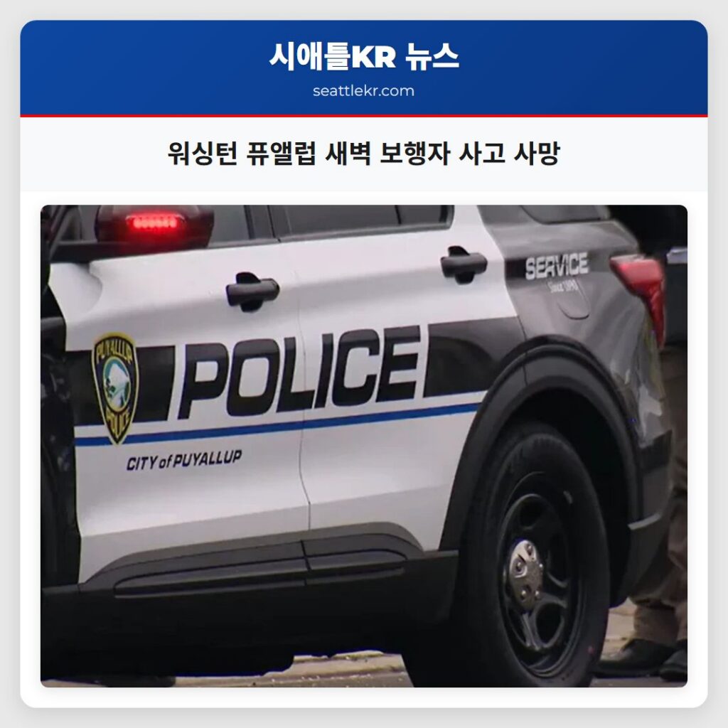 워싱턴 퓨앨럽 새벽 보행자 사고 사망
