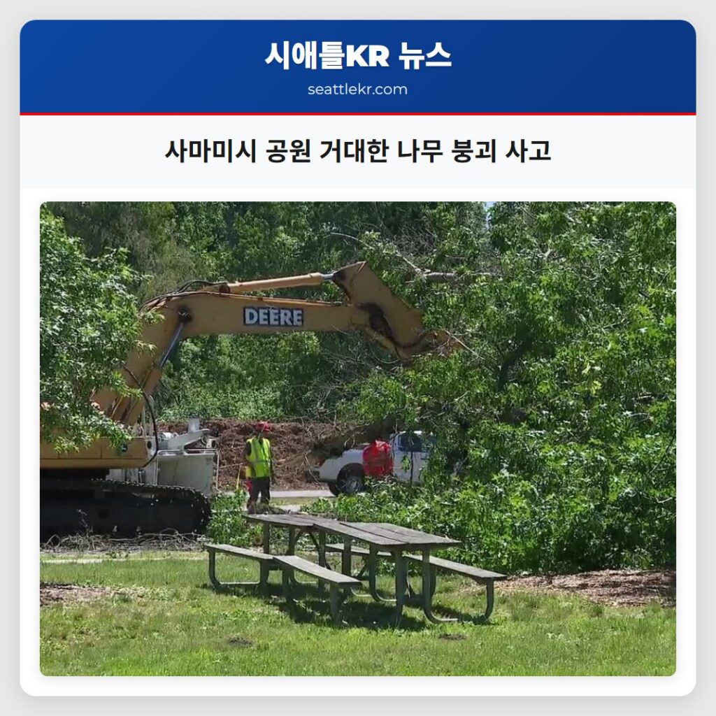 사마미시 공원 거대한 나무 붕괴 사고