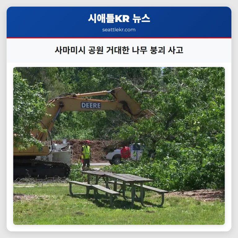 사마미시 공원 거대한 나무 붕괴 사고