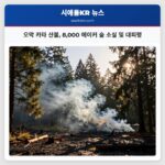 오막 카타 산불 8000 에이커 숲 소실 및 대피령