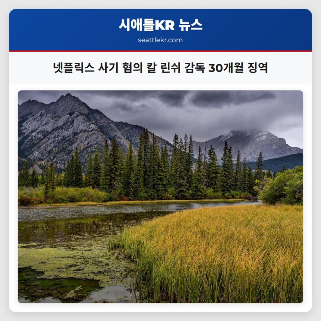 넷플릭스 사기 혐의 칼 린쉬 감독 30개월 징역