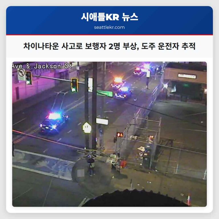 차이나타운 사고로 보행자 2명 부상 도주 운전자 추적