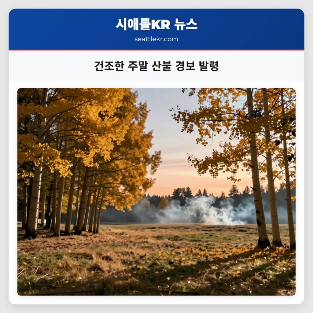 건조한 주말 산불 경보 발령