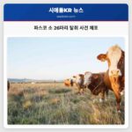 파스코 소 26마리 탈취 사건 체포