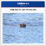 시애틀 폭염 지속 일부 지역 90도 돌파