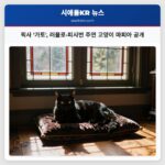 픽사 가토 러플로·피시번 주연 고양이 마피아 공개
