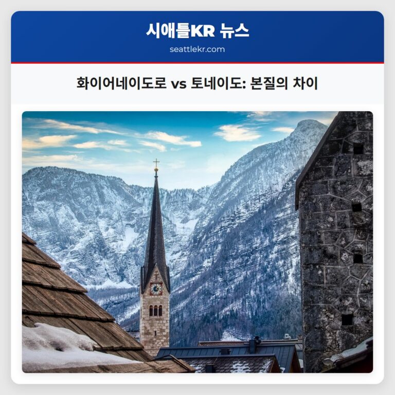 화이어네이도로 vs 토네이도 본질의 차이