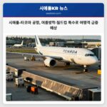 시애틀-타코마 공항 여름방학·월드컵 특수로 여행객 급증 예상