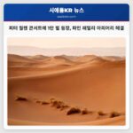 피터 월렌 콘서트에 1만 벌 등장 파인 패밀리 아피어리 해결