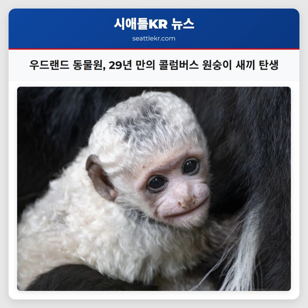 우드랜드 동물원, 29년 만의 콜럼버스 원숭이 새끼 탄생