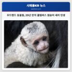 우드랜드 동물원 29년 만의 콜럼버스 원숭이 새끼 탄생