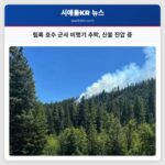 림록 호수 군사 비행기 추락 산불 진압 중