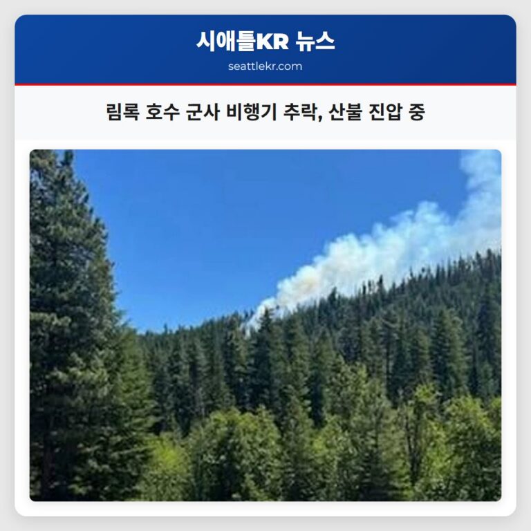 림록 호수 군사 비행기 추락 산불 진압 중