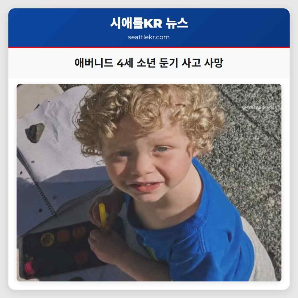 애버니드 4세 소년 둔기 사고 사망