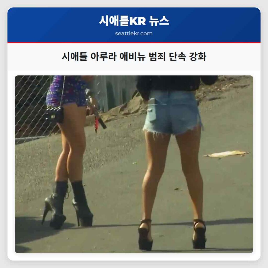 시애틀 아루라 애비뉴 범죄 단속 강화