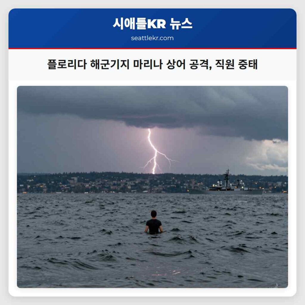 플로리다 해군기지 마리나 상어 공격, 직원 중태