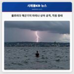플로리다 해군기지 마리나 상어 공격 직원 중태