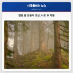 캠핑 중 쌍둥이 조산 나초 후 복통