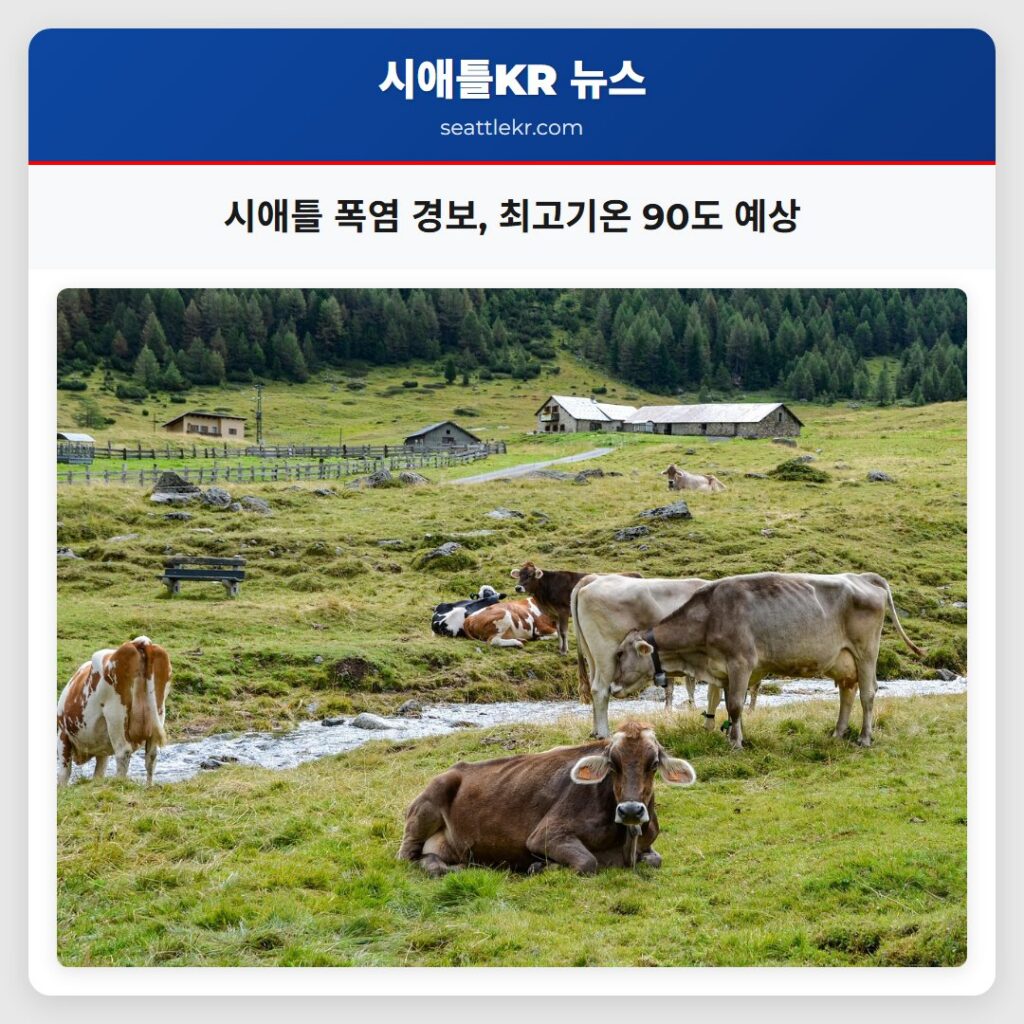 시애틀 폭염 경보, 최고기온 90도 예상