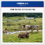 시애틀 폭염 경보 최고기온 90도 예상