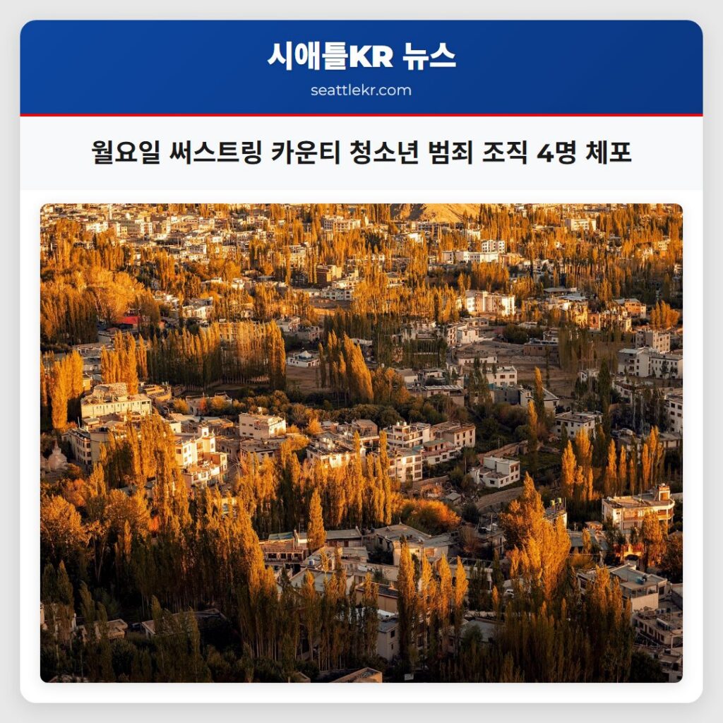 시애틀 최신뉴스 2 월요일 써스트링 카운티 청소년 범죄 조직 4명 체포