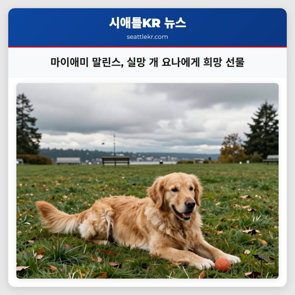 마이애미 말린스, 실망 개 요나에게 희망 선물