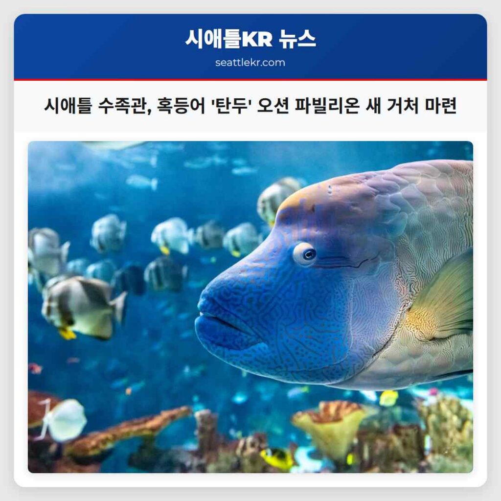 시애틀 수족관, 혹등어 '탄두' 오션 파빌리온 새 거처 마련