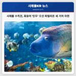 시애틀 수족관 혹등어 탄두 오션 파빌리온 새 거처 마련