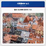 벨뷰 인신매매 혐의자 기소