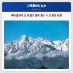 페더럴웨이 21세 햄즈 엘미 총기 사고 증언 요청