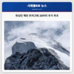 워싱턴 해안 회색고래 25마리 추가 좌초