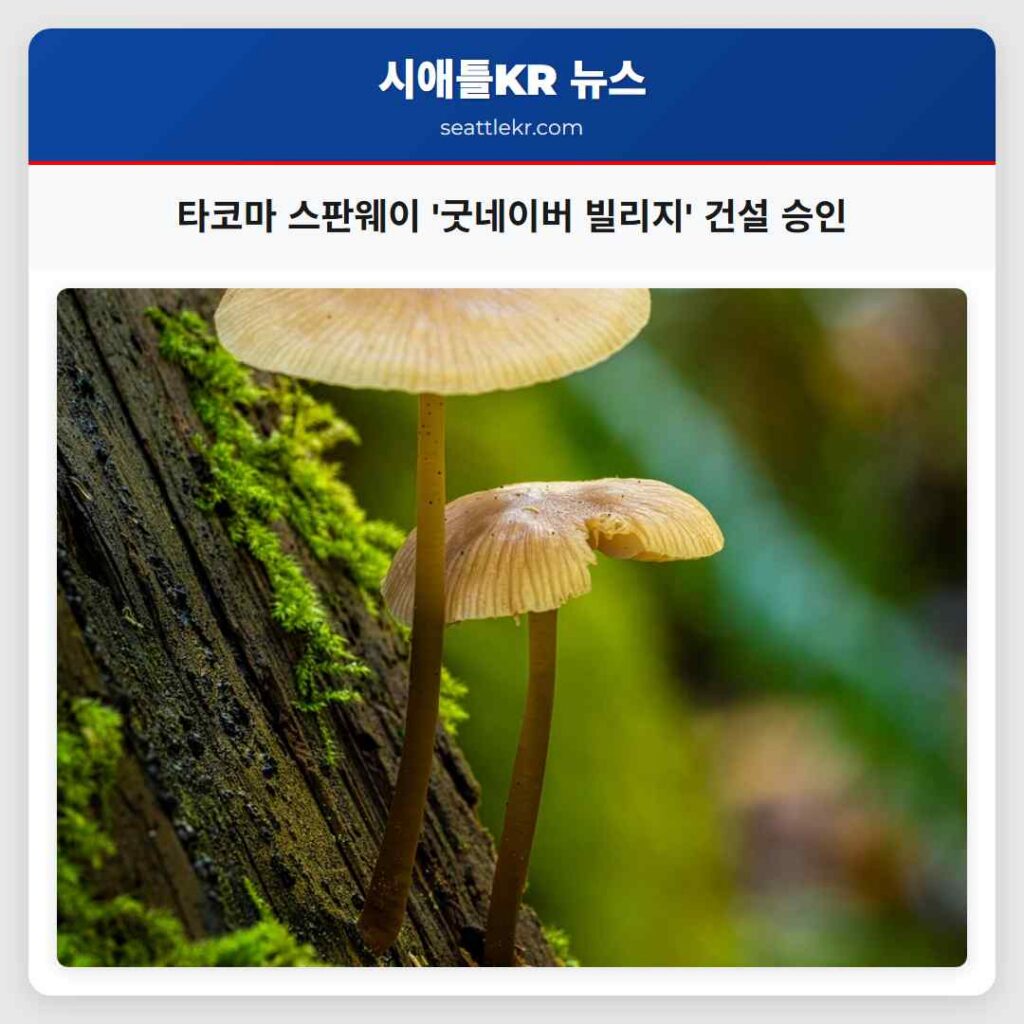 타코마 스판웨이 '굿네이버 빌리지' 건설 승인