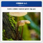 타코마 스판웨이 굿네이버 빌리지 건설 승인