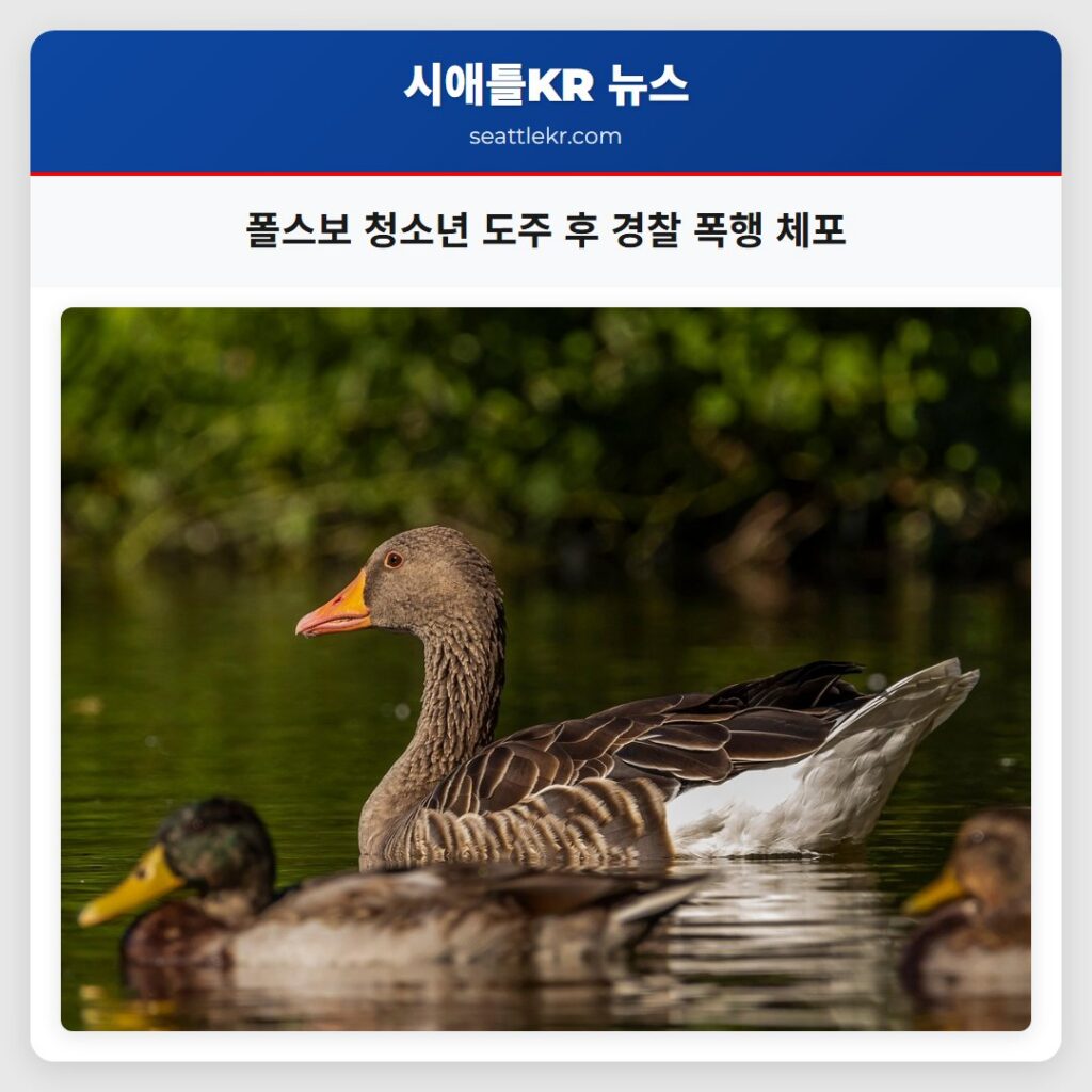 폴스보 청소년 도주 후 경찰 폭행 체포