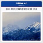 앨리스 쿠퍼 카드 되찾아준 아리조나 이웃 이야기
