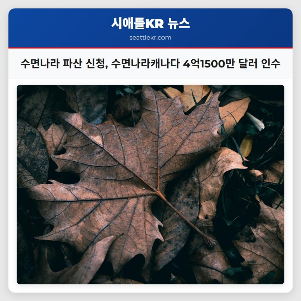 수면나라 파산 신청, 수면나라캐나다 4억1500만 달러 인수