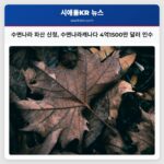 수면나라 파산 신청 수면나라캐나다 4억1500만 달러 인수