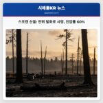 스포캔 산불 인위 발화로 사망 진압률 60%
