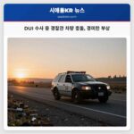 DUI 수사 중 경찰관 차량 충돌 경미한 부상