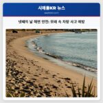 넷째의 날 해변 안전 모래 속 차량 사고 예방