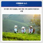 우드랜드 파크 동물원 서부 연못 거북 39마리 야생 방사 시험